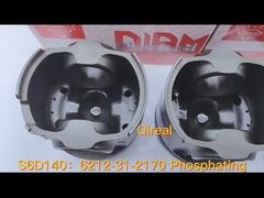 6212-31-2170 Fosfatizzazione